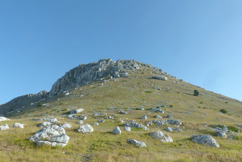 Le belle Epipactis sulle praterie di Campo Imperatore (AQ)  luglio 2025.